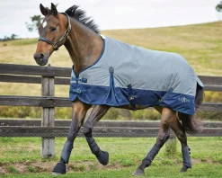 WEATHERBEETA Saxon 600D Medium-Weight Blanket with Gussets & Standard Neck II- Turnout Blankets