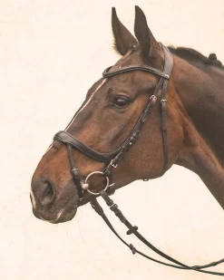 SCHOCKEMOEHLE N.A. Schockemöhle Equitus Alpha Bridle- English Bridles