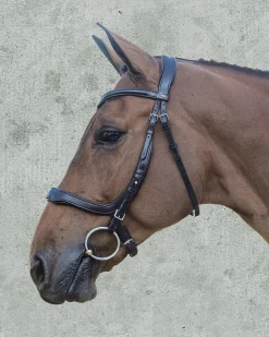SCHOCKEMOEHLE N.A. Schockemöhle Equitus Delta Bridle- English Bridles