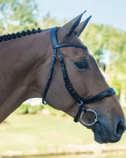 SCHOCKEMOEHLE N.A. Schockemöhle Equitus Delta Bridle- English Bridles