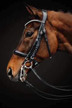SCHOCKEMOEHLE N.A. Schockemöhle Equitus Gamma Double Bridle- English Bridles