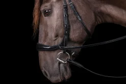 SCHOCKEMOEHLE N.A. Schockemöhle Equitus Theta Bridle- English Bridles