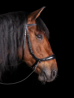 SCHOCKEMOEHLE N.A. Schockemöhle Equitus Theta Bridle- English Bridles