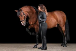 SCHOCKEMOEHLE N.A. Schockemöhle Equitus Theta Bridle- English Bridles