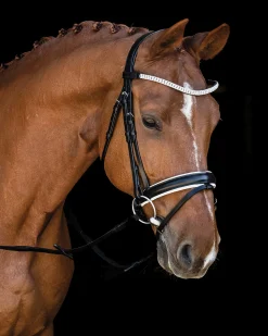 SCHOCKEMOEHLE N.A. Schockemöhle Malaga Bridle- English Bridles