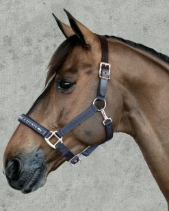 SCHOCKEMOEHLE N.A. Schockemöhle Memphis Halter- Halters