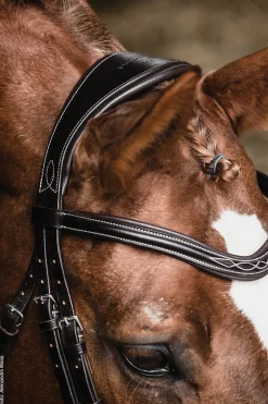 SCHOCKEMOEHLE N.A. Schockemöhle Monza Fancy Stitched Bridle- English Bridles
