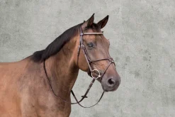 SCHOCKEMOEHLE N.A. Schockemöhle Rio Select Anatomic Figure-8 Bridle- English Bridles