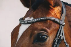 SCHOCKEMOEHLE N.A. Schockemöhle Rome Select Bridle- English Bridles