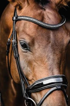 SCHOCKEMOEHLE N.A. Schockemöhle Standford Glam Bridle- English Bridles