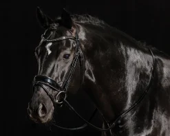 SCHOCKEMOEHLE N.A. Schockemöhle Standford Glam Bridle- English Bridles