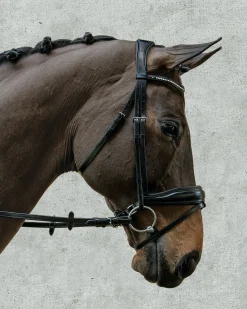 SCHOCKEMOEHLE N.A. Schockemöhle Stanford Bridle- English Bridles