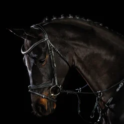 SCHOCKEMOEHLE N.A. Schockemöhle Tokyo F Bridle- English Bridles