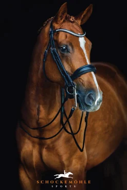 SCHOCKEMOEHLE N.A. Schockemöhle Venice Double Bridle- English Bridles