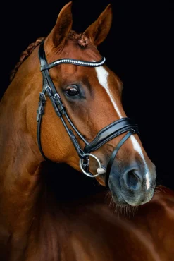 SCHOCKEMOEHLE N.A. Schockemöhle Malibu Bridle- English Bridles