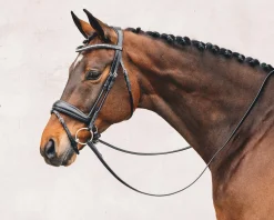 SCHOCKEMOEHLE N.A. Schockemöhle Malibu Bridle- English Bridles