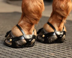 INTREPID INTL Scoot Boot Adjust Hoof Boots - Pair- Hoof & Hock Boots