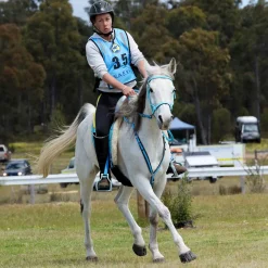 INTREPID INTL Scoot Boot Skins Glue-On - 2 Pack- Hoof & Hock Boots