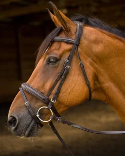 SHIRES EQUESTRIAN Shires Avignon Louisville Bridle- English Bridles