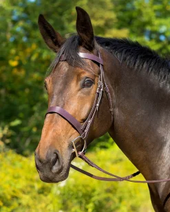 SHIRES EQUESTRIAN Shires Avignon Middleburg Hunt Bridle- English Bridles