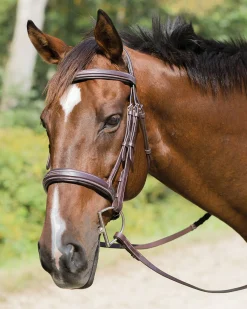 SHIRES EQUESTRIAN Shires Avignon Wellington Bridle- English Bridles