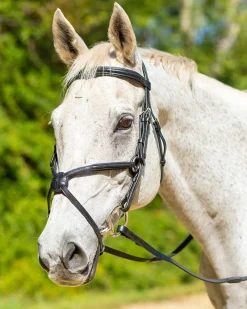 SHIRES EQUESTRIAN Shires Avignon Woodside Bridle- English Bridles