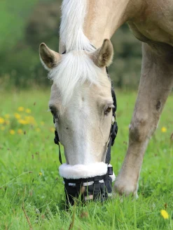 SHIRES EQUESTRIAN Shires Deluxe Grass Muzzle- Cribbing & Muzzles