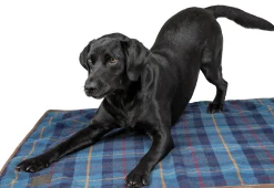 SHIRES EQUESTRIAN Shires Digby & Fox Large Tweed Blanket- Dog Beds