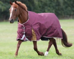 SHIRES EQUESTRIAN Shires Highlander 100G Blanket- Turnout Blankets