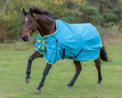 SHIRES EQUESTRIAN Shires Highlander 100G Blanket- Turnout Blankets