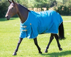 SHIRES EQUESTRIAN Shires Highlander Lite Turnout Sheet- Turnout Blankets