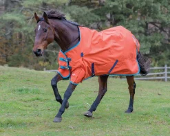 SHIRES EQUESTRIAN Shires Highlander Lite Turnout Sheet- Turnout Blankets