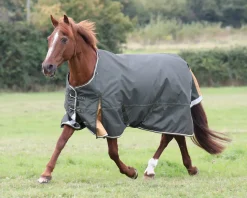 SHIRES EQUESTRIAN Shires Highlander Lite Turnout Sheet- Turnout Blankets