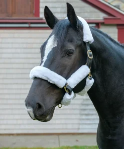 SHIRES EQUESTRIAN Shires SupaFleece Halter Fleeces - 9 piece set- Trailering|Halter Accessories