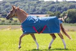 SHIRES EQUESTRIAN Shires Tempest Original Lite Turnout Sheet- Turnout Blankets