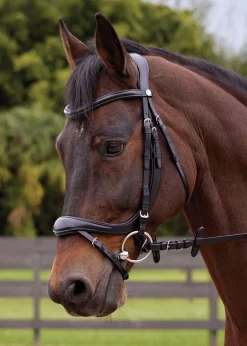 GLOBAL EXPORTS Showmark® Ergonomic Flash Bridle- English Bridles
