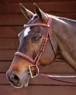 PUSHKAR INTL Showmark® Ergonomic Hunter Bridle- English Bridles