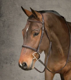 HARMOHN KRAFT Showmark® Premier Hunter Bridle- English Bridles