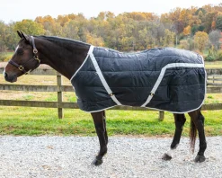 INTREPID INTL Snuggie Heavyweight Stable Blanket, Large- Stable Blankets