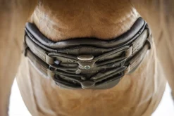 STUBBEN N.A. Stübben Equi-Soft® Girth- Girths & Accessories