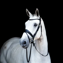 STUBBEN N.A. Stübben Switch Combo Bridle- English Bridles