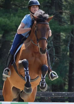 JONE SHOU INDUSTRIAL Stride™ Open-Front Tendon Boots- Horse Boots