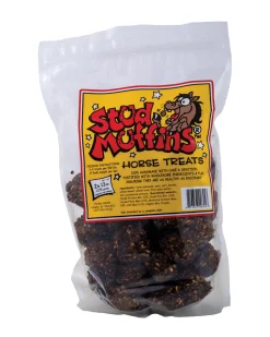 ANIMAL HEALTH INT Stud Muffins® Horse Treats - 90 oz- Horse Treats|Horse Treats
