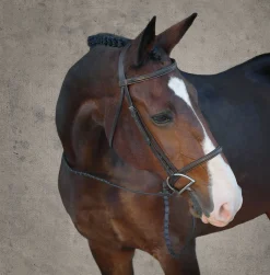 KINGS INTERNATIONAL Suffolk™ Classic Hunter Bridle- English Bridles