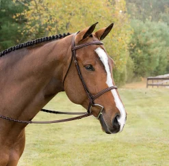 KINGS INTERNATIONAL Suffolk™ Classic Hunter Bridle- English Bridles
