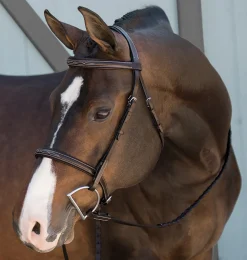 KINGS INTERNATIONAL Suffolk™ Fancy-Stitched Single Crown Bridle- English Bridles