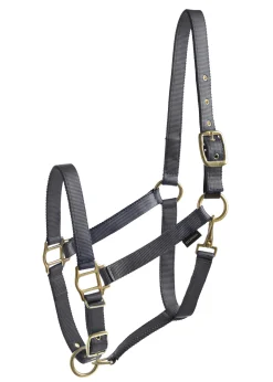 TEXT HORSE Suffolk™ Heavy Nylon Breakaway Halter with Fuse- Halters