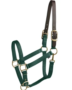 TEXT HORSE Suffolk™ Heavy Nylon Halter with Breakaway Crown- Halters