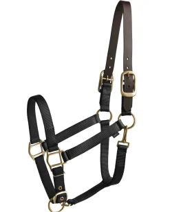 TEXT HORSE Suffolk™ Heavy Nylon Halter with Breakaway Crown- Halters