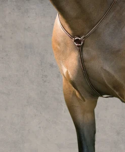 KINGS INTERNATIONAL Suffolk™ Hunter Breastplate- Martingales & Breastplates